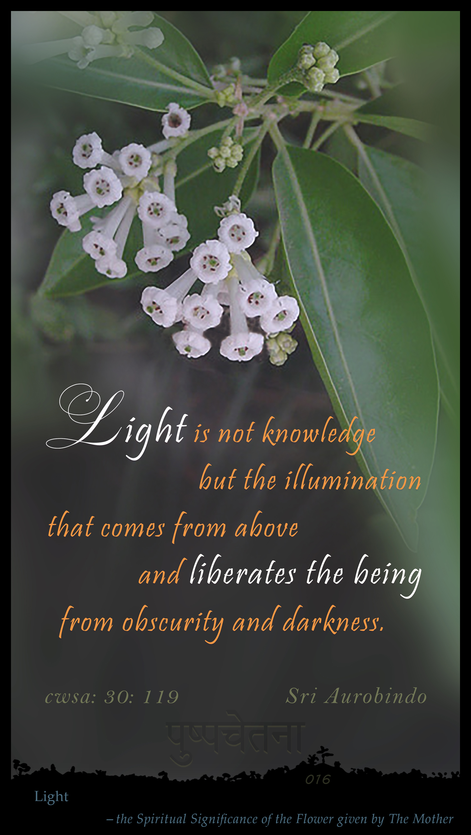 Light 